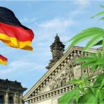 Fast Buds: German cannabis legalisation will open the door to home cultivation