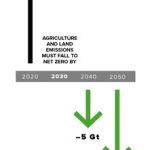 Land Sector Can – and Must – Reach Net Zero Annual Emissions by 2030. Where, What and How Food is Grown is Critical