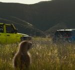 Jeep® Brand Slides Into the Big Game With ‘Electric Boogie’