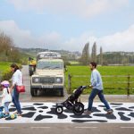 You herd it here first: Yeo Valley Organic creates the UK’s first of many cow crossings