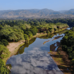 Lower Zambezi National Park Ecosystem