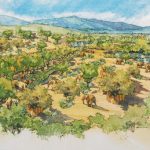 San Diego Zoo Safari Park Announces Elephant Valley, Largest Transformative Project in 50-year History