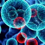 Johnson & Johnson is transforming solid tumor cancer outcomes with new data at the 2024 World Conference on Lung Cancer and European Society for Medical Oncology Congress