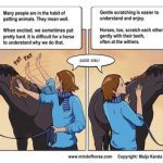 Horses feel strongly – and scientists know what they need to be happy