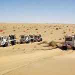 Sinopec Releases First Sustainable Development Report in Algeria