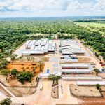 Bayer Opens Zambia Maize Seed Facility for Food Security