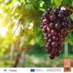 The European Union’s “Taste the Difference” Campaign Brings Exclusive Wine Events to the U.S. this May